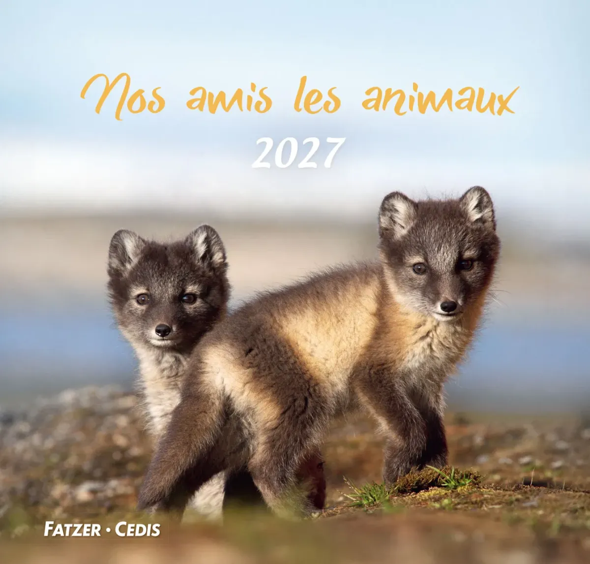 CALENDRIER CED NOS AMIS LES ANIMAUX