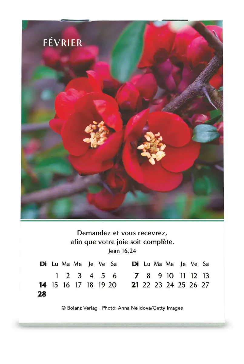 CALENDRIER CED MINI LOUANGES