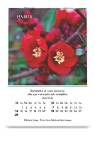 CALENDRIER CED MINI LOUANGES