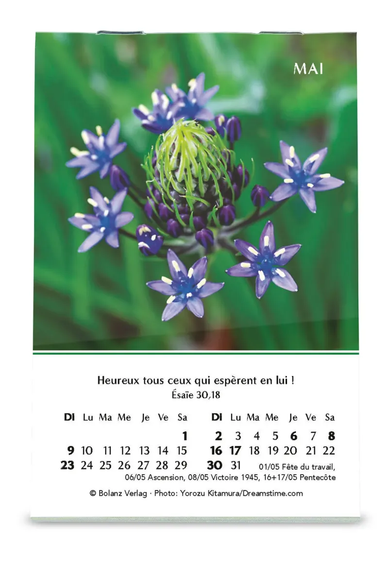 CALENDRIER CED MINI LOUANGES
