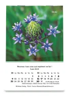 CALENDRIER CED MINI LOUANGES