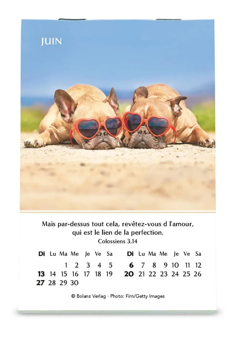 CALENDRIER CED MINI JOIE