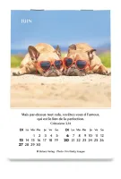 CALENDRIER CED MINI JOIE