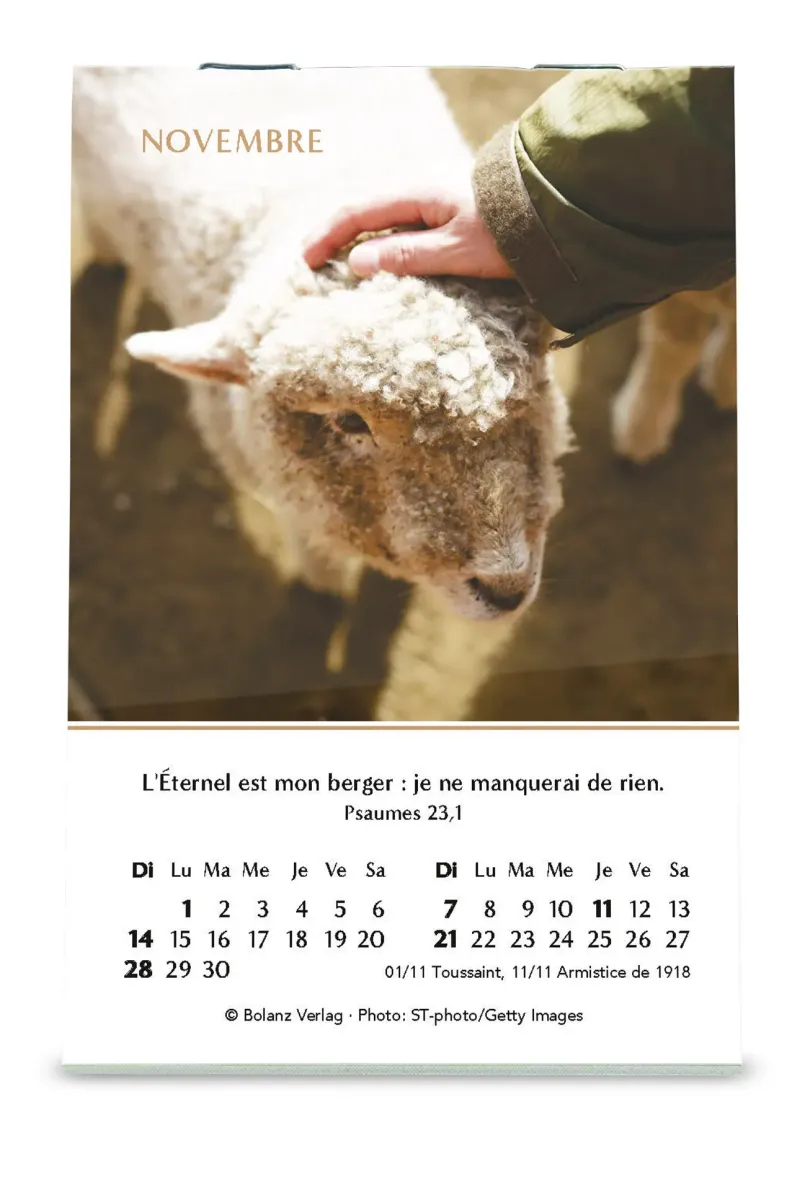 CALENDRIER CED MINI JOIE