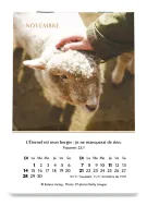 CALENDRIER CED MINI JOIE