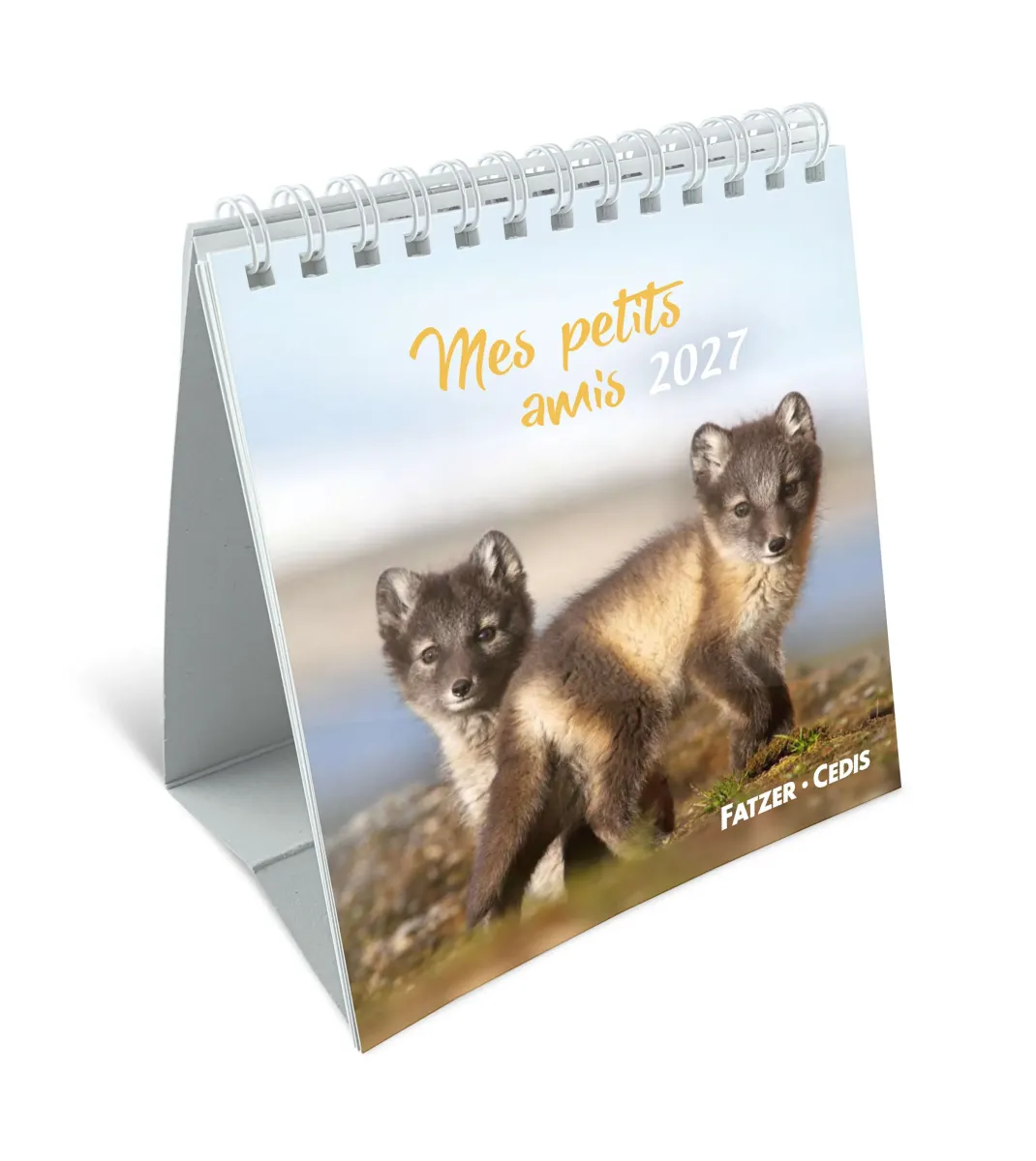 CALENDRIER CED MES PETITS AMIS AVEC TEXTES BIBLIQUES