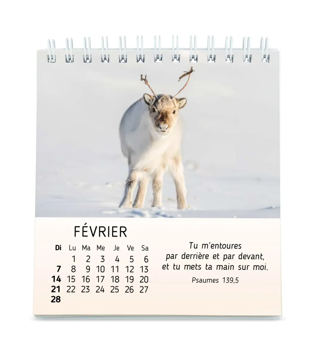 CALENDRIER CED MES PETITS AMIS AVEC TEXTES BIBLIQUES