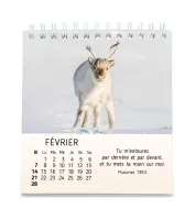 CALENDRIER CED MES PETITS AMIS AVEC TEXTES BIBLIQUES
