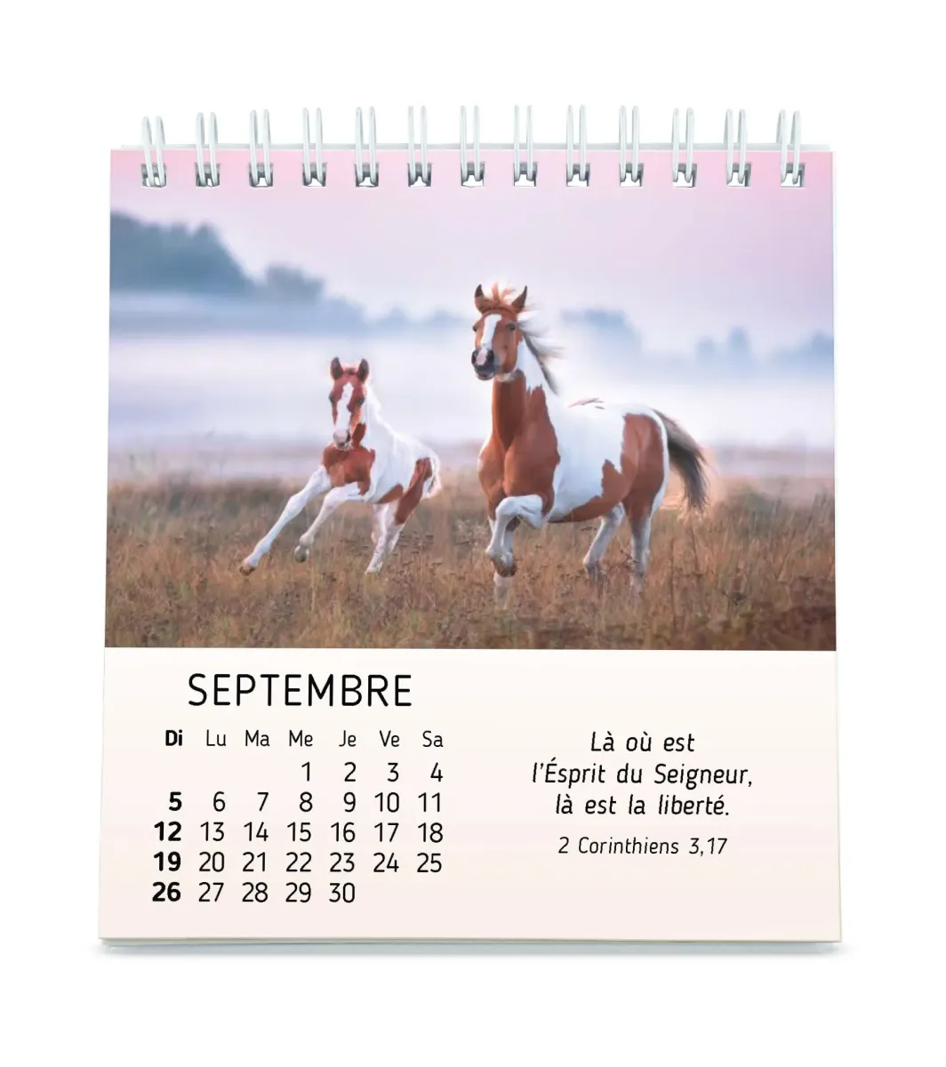 CALENDRIER CED MES PETITS AMIS AVEC TEXTES BIBLIQUES