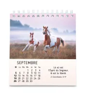 CALENDRIER CED MES PETITS AMIS AVEC TEXTES BIBLIQUES