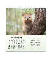 CALENDRIER CED MES PETITS AMIS AVEC TEXTES BIBLIQUES