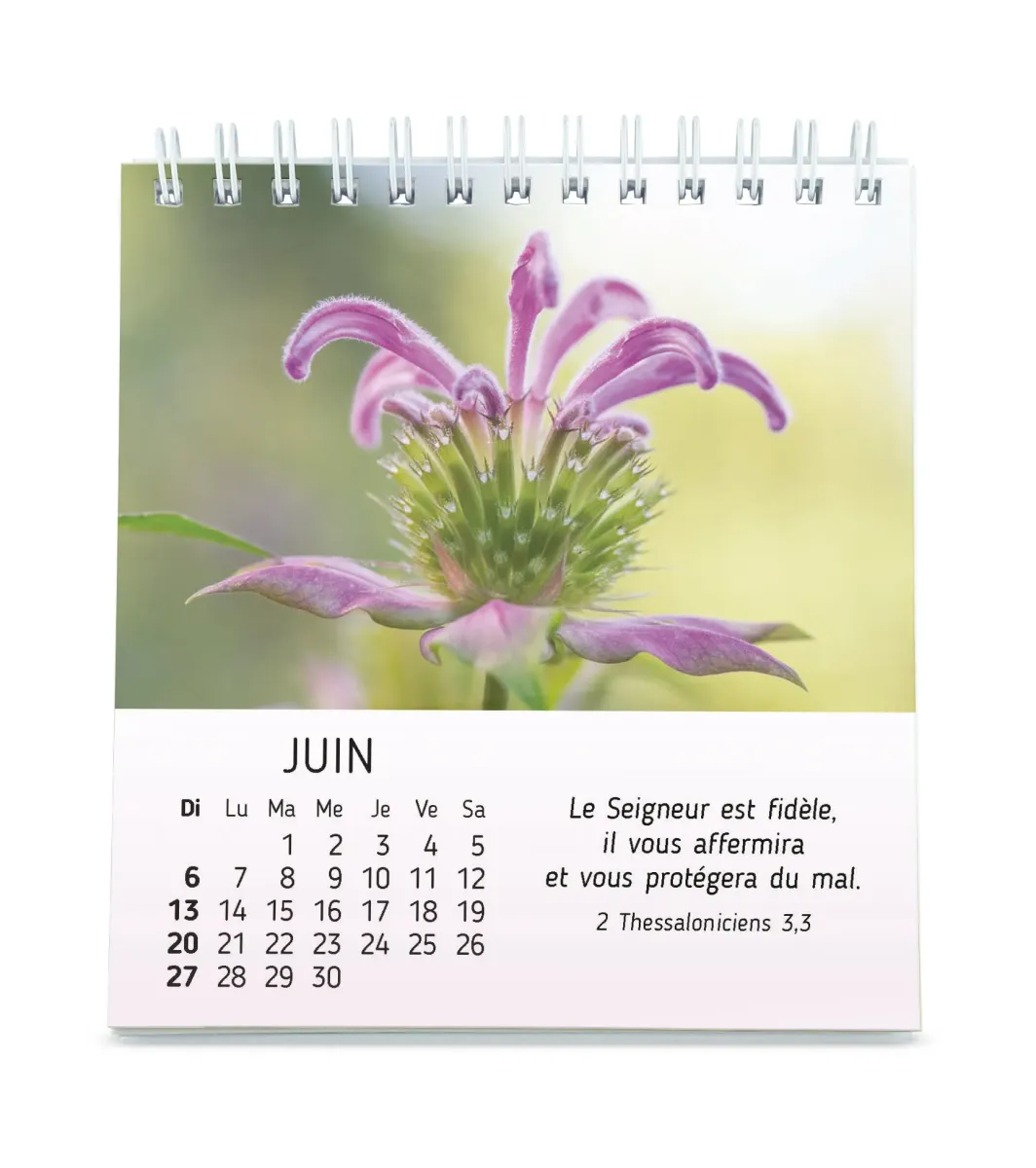 CALENDRIER CED NATURE EN PAIX