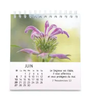 CALENDRIER CED NATURE EN PAIX