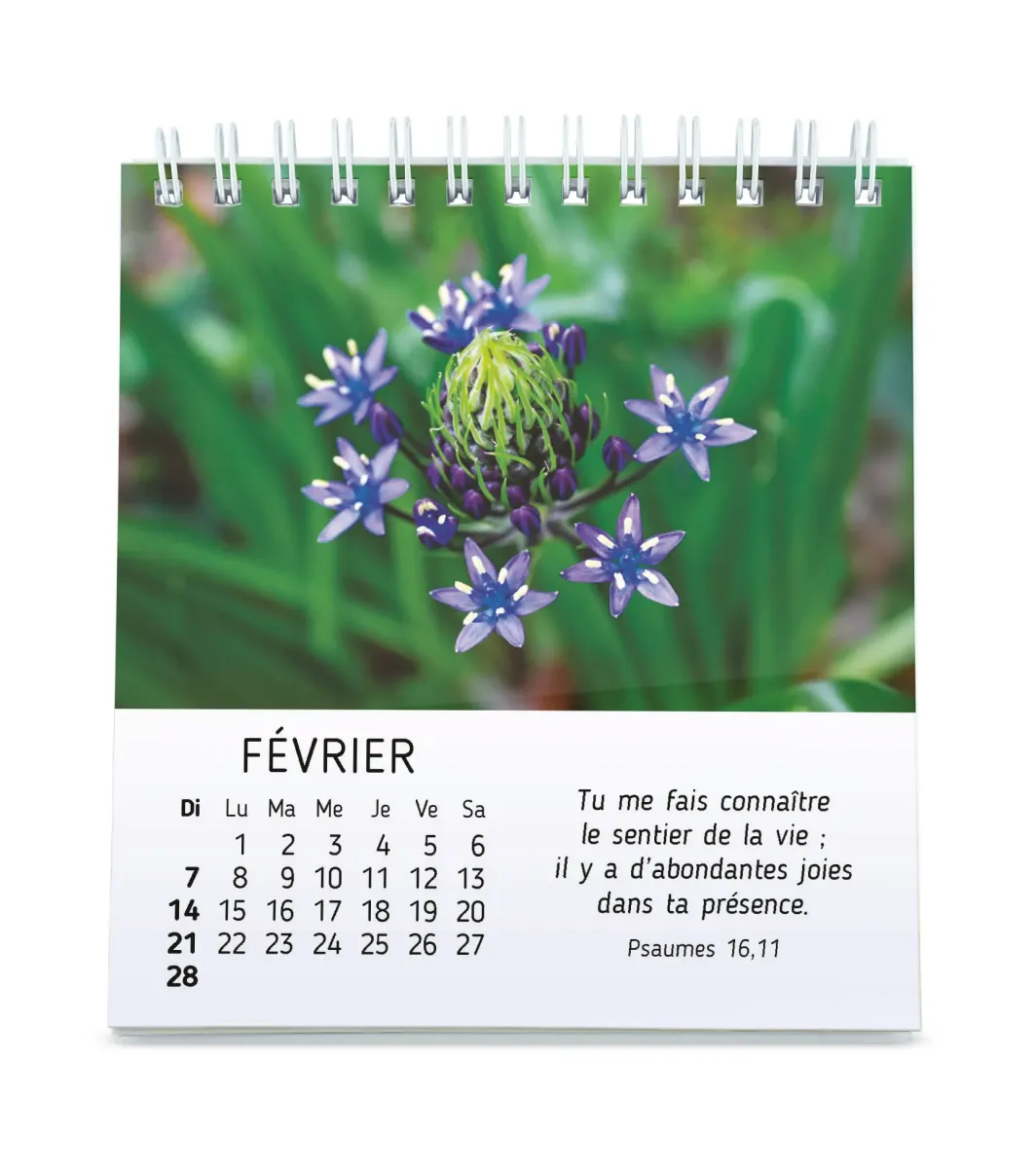 CALENDRIER CED FLORALIES