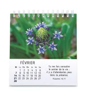 CALENDRIER CED FLORALIES