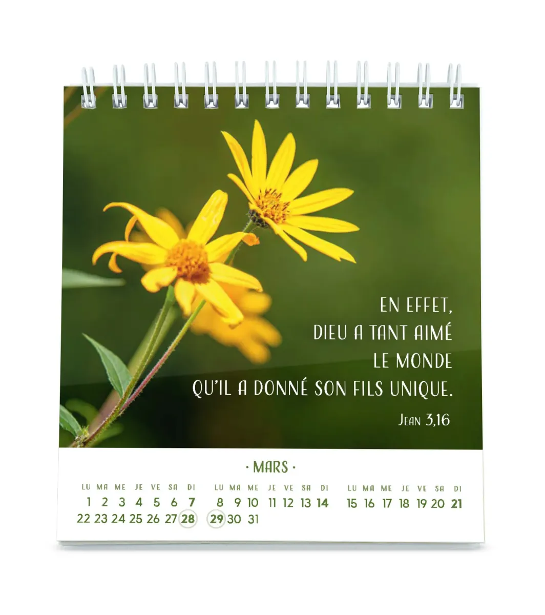 CALENDRIER CED PENSEES FLEURIES