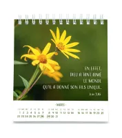 CALENDRIER CED PENSEES FLEURIES