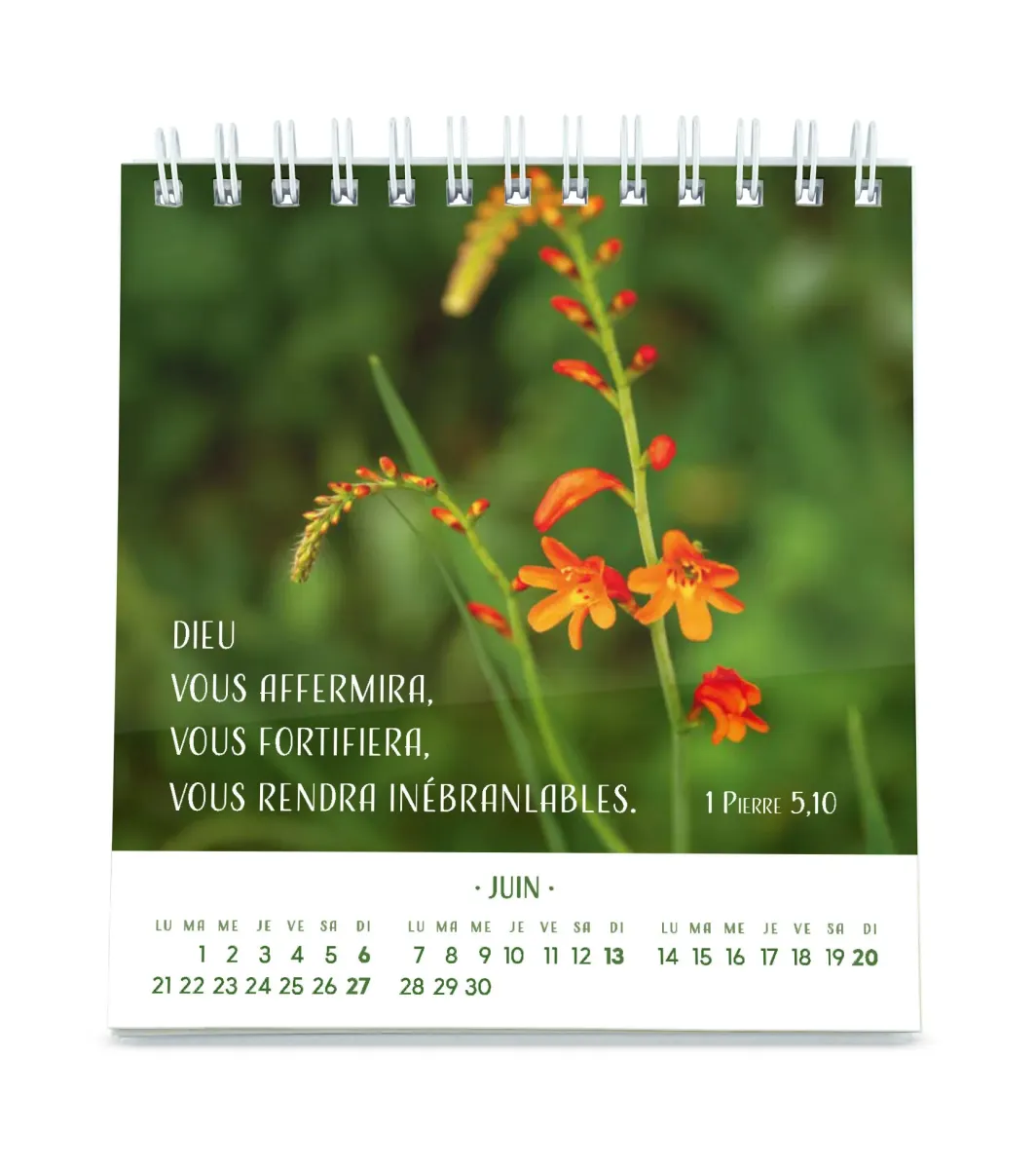 CALENDRIER CED PENSEES FLEURIES