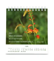 CALENDRIER CED PENSEES FLEURIES