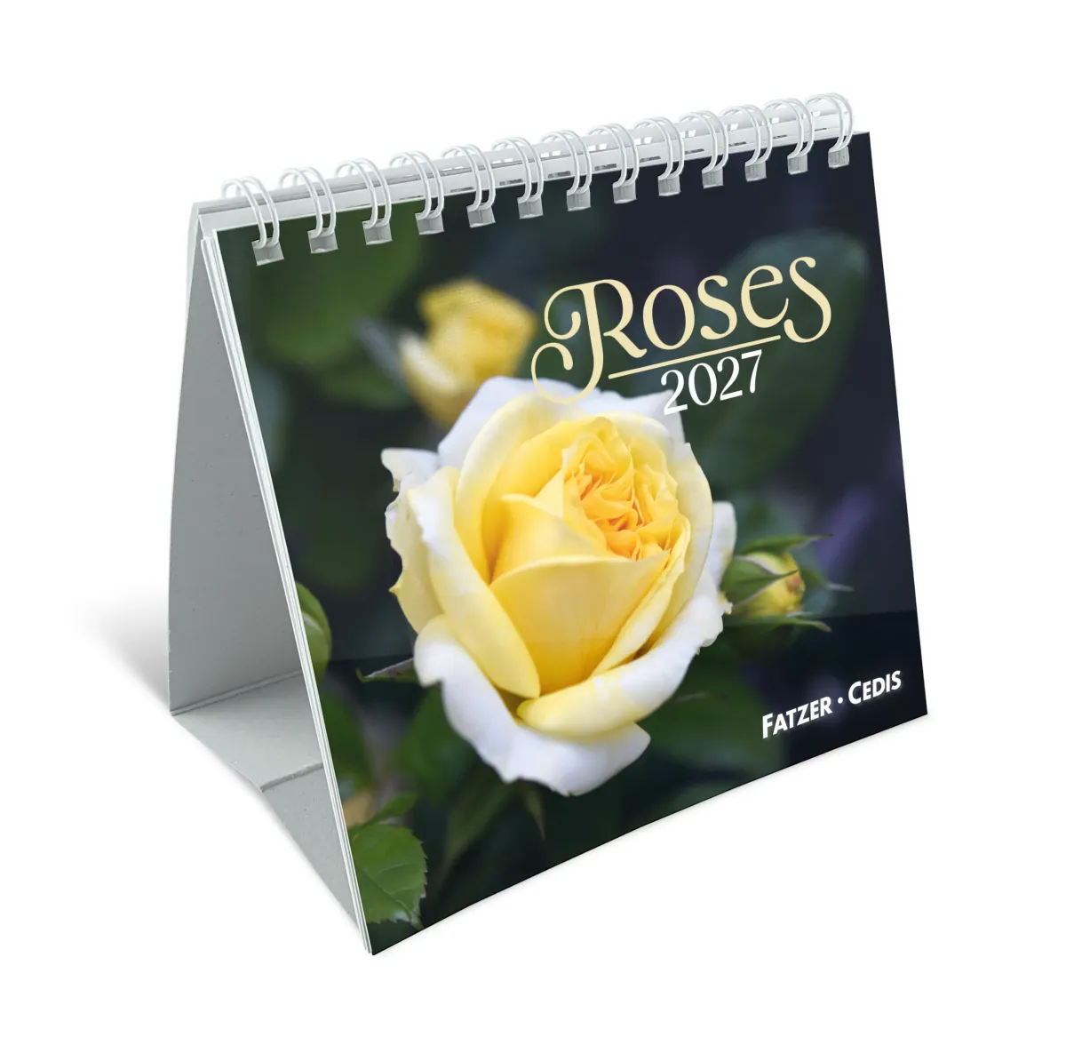 CALENDRIER GBK ROSES - A POSER