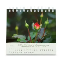 CALENDRIER GBK ROSES - A POSER
