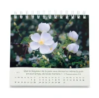 CALENDRIER GBK ROSES - A POSER