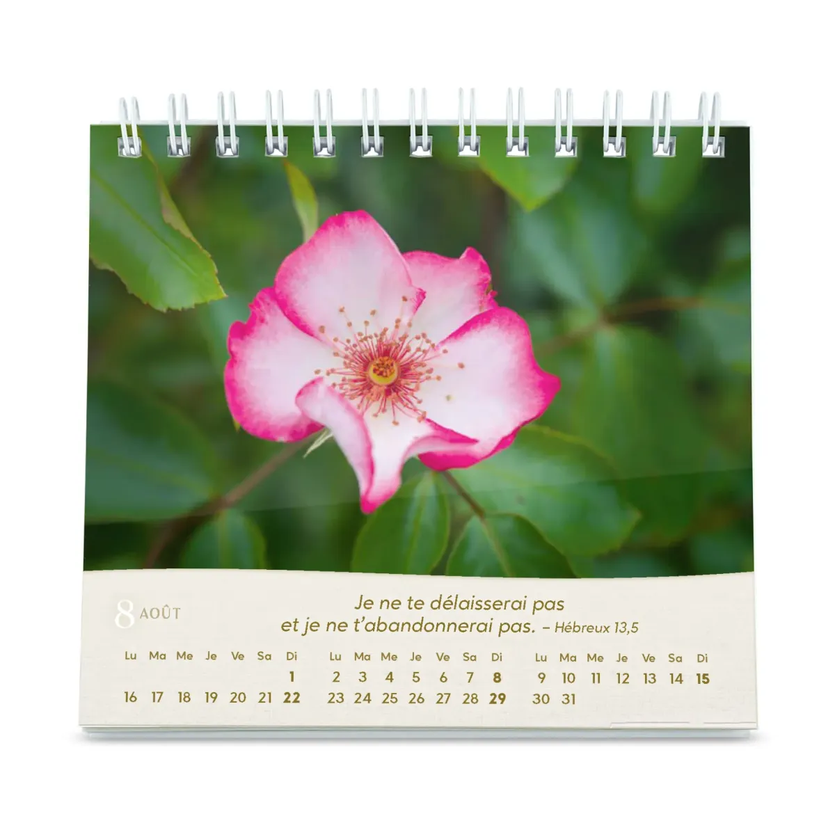 CALENDRIER GBK ROSES - A POSER