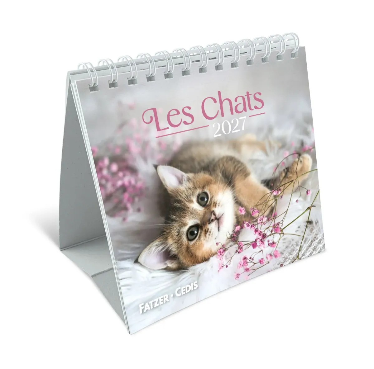 CALENDRIER GBK LES CHATS - A POSER