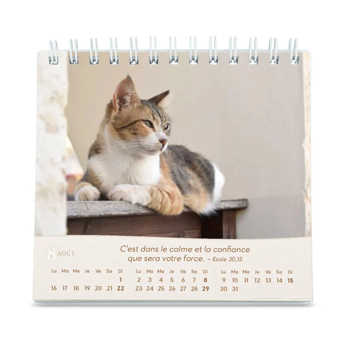 CALENDRIER GBK LES CHATS - A POSER