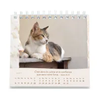 CALENDRIER GBK LES CHATS - A POSER