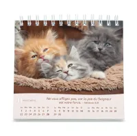 CALENDRIER GBK LES CHATS - A POSER