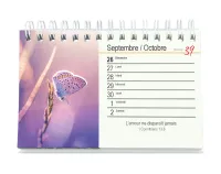 CALENDRIER CED TU M'ACCOMPAGNES