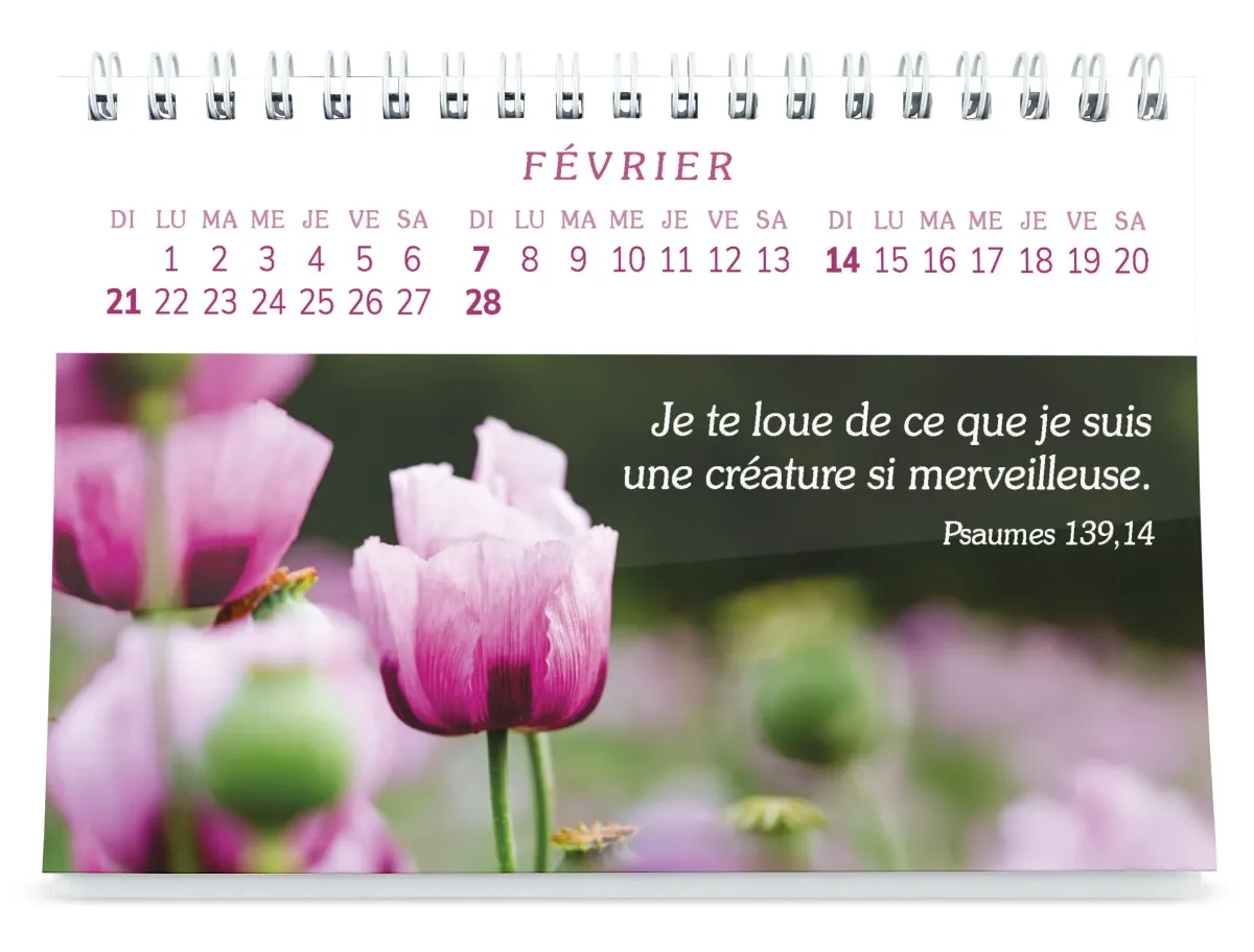 CALENDRIER GBK PLAISIRS D'OFFRIR - GROS CARACTERES