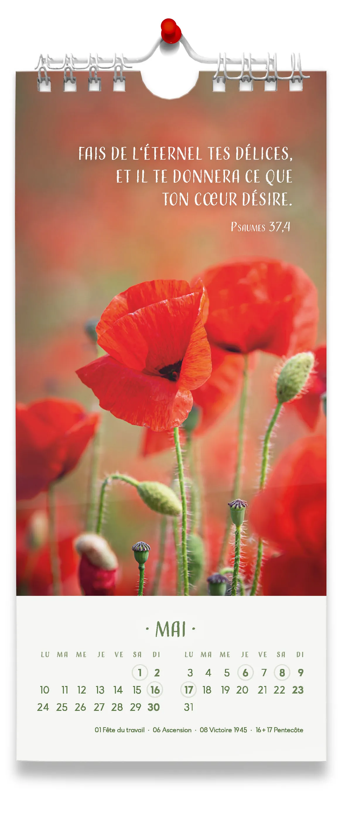 CALENDRIER CED FLEURS AVEC TEXTES BIBLIQUES