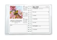 CALENDRIER CED AGENDA COLOR
