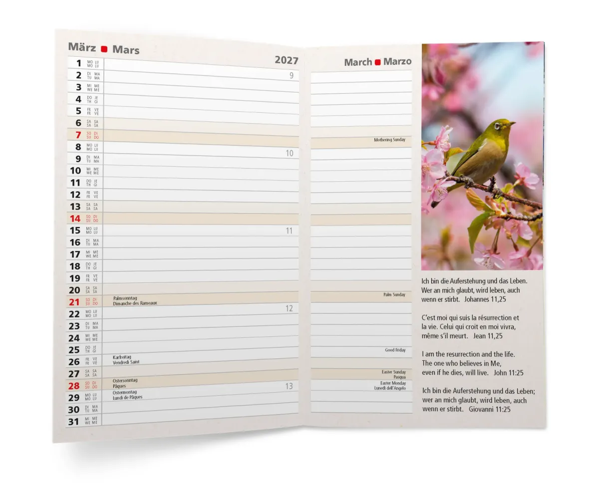 CALENDRIER CED AGENDA INTERNATIONAL 4 LANGUES