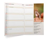 CALENDRIER CED AGENDA INTERNATIONAL 4 LANGUES
