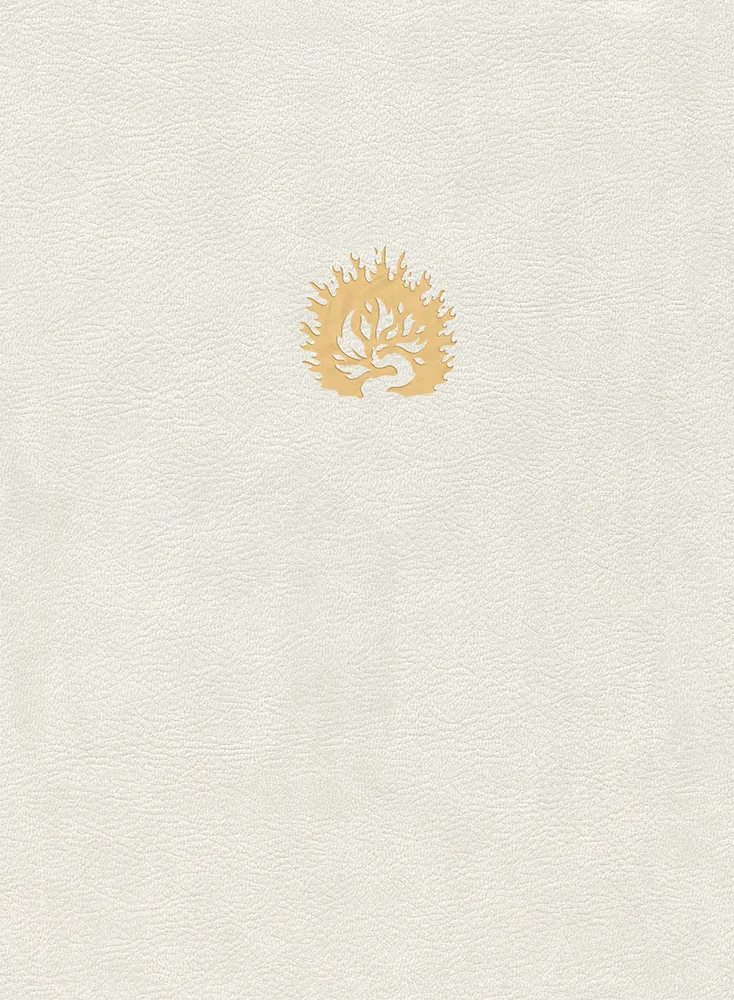 BIBLE COLOMBE D'ETUDE DE LA FOI REFORMEE SOUPLE SIMILICUIR BLANC
