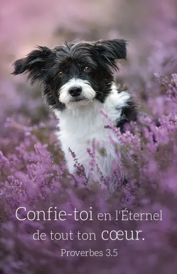 CALENDRIER EPT CARTE CALENDRIER CHAT