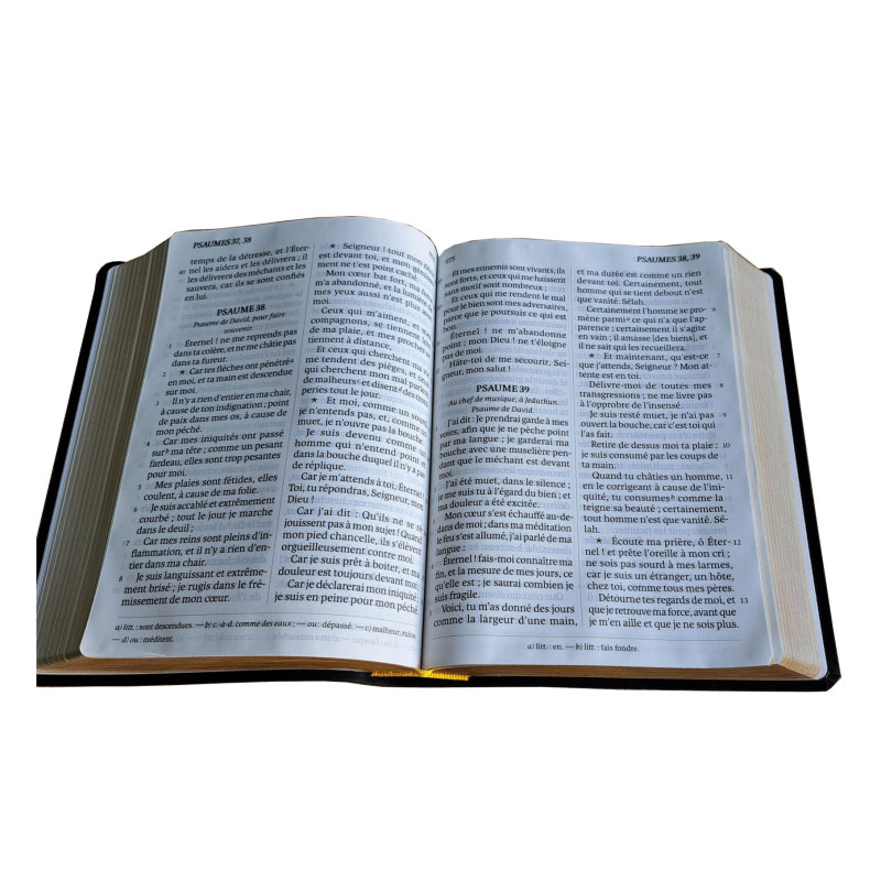 BIBLE DARBY ROLLE GROS CARACTERES
