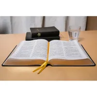 BIBLE DARBY ROLLE GROS CARACTERES