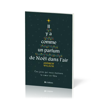 IL Y A COMME UN PARFUM DE NOEL DANS L'AIR - CES JOIES QUI NOUS METTENT LE COEUR EN FETE