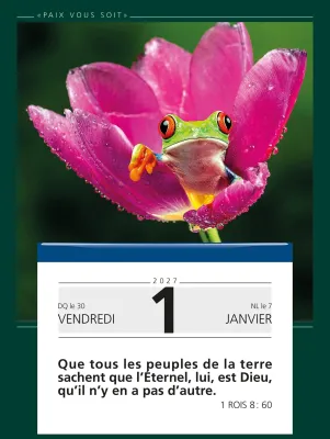 CALENDRIER BONNE SEMENCE PAIX VOUS SOIT MURAL