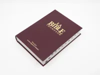 BIBLE COLOMBE THOMPSON RIGIDE ONGLETS GRENAT