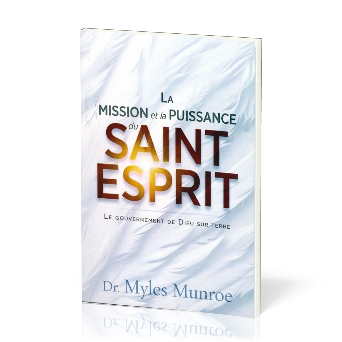 MISSION ET LA PUISSANCE DU SAINT-ESPRIT (LA)
