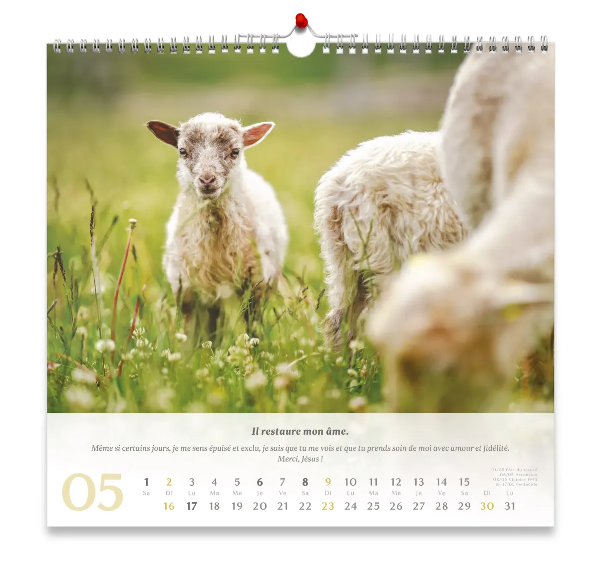 CALENDRIER CED PSAUMES 23 GRAND FORMAT
