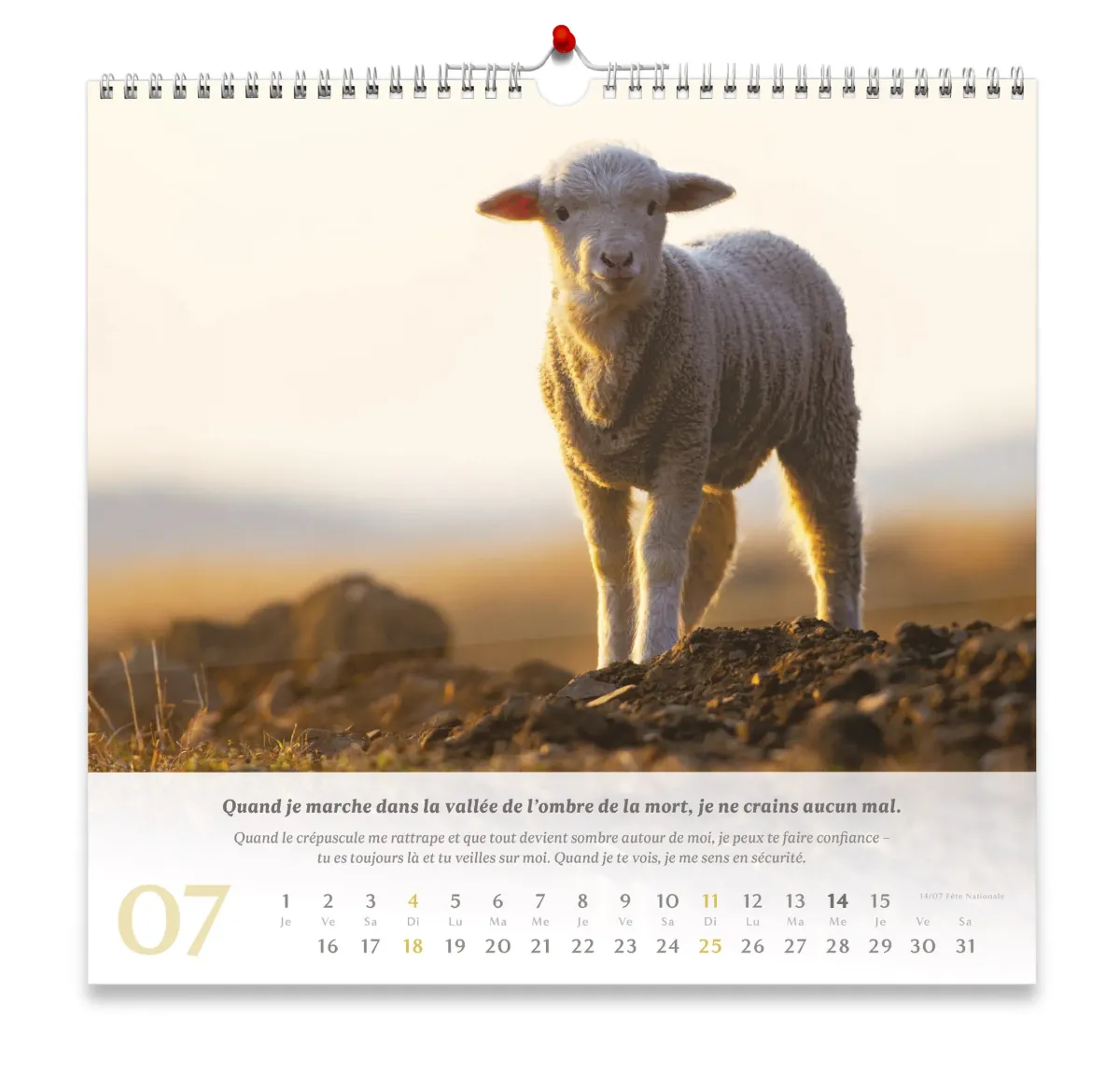 CALENDRIER CED PSAUMES 23 GRAND FORMAT