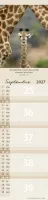 CALENDRIER EPT POUR VOUS - ANIMAUX