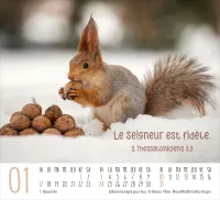 CALENDRIER EPT RENCONTRES