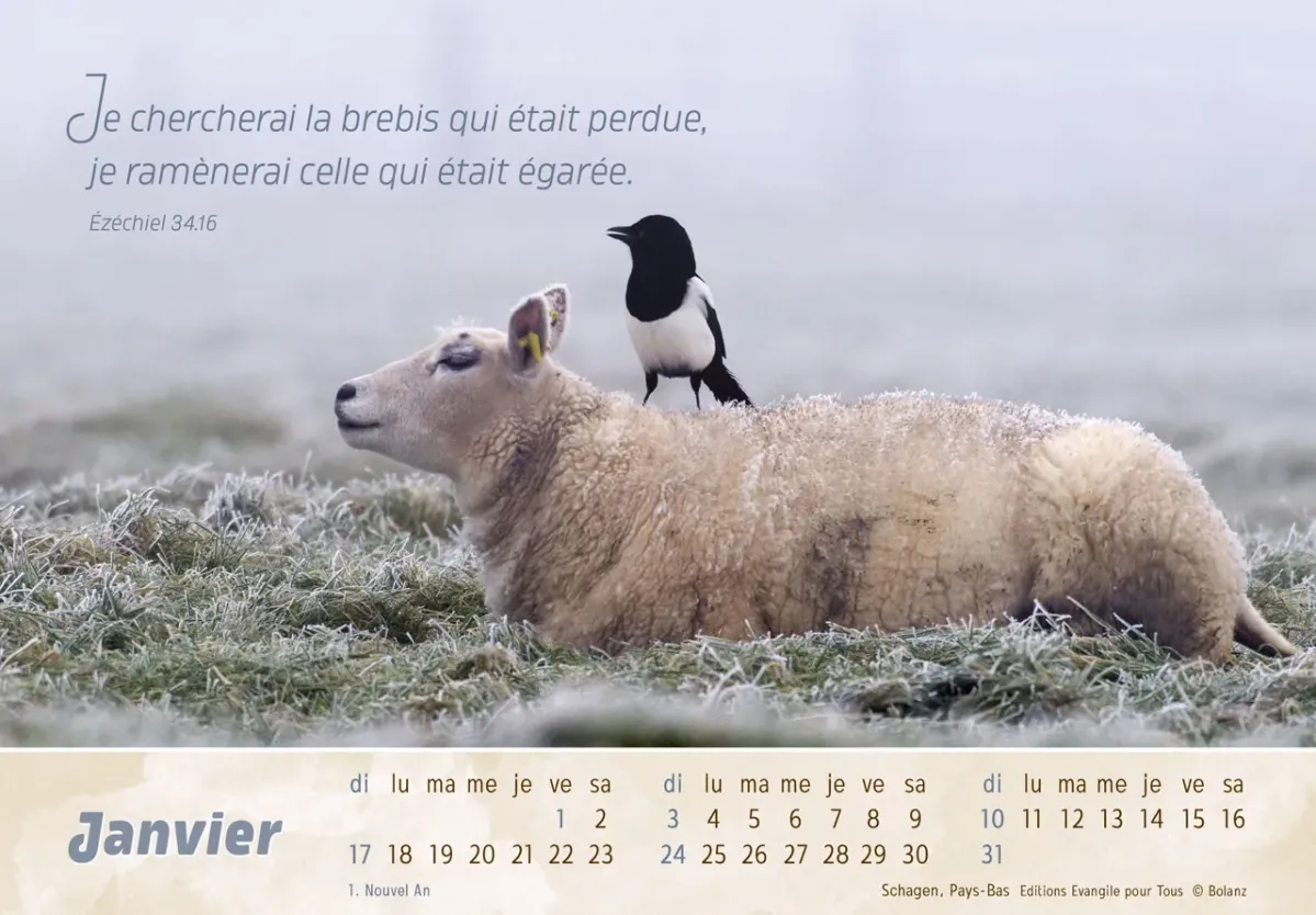 CALENDRIER EPT LE BON BERGER